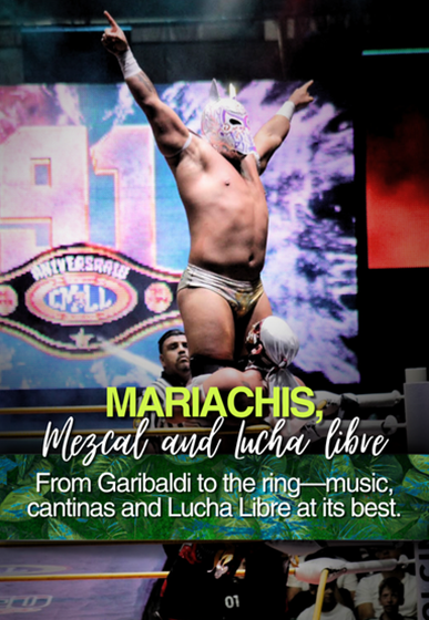 Mexican Lucha Libre